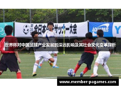 世界杯对中国足球产业发展的深远影响及其社会文化变革探析 世界杯对中国足球产业发展的深远影响及其社会文化变革探析